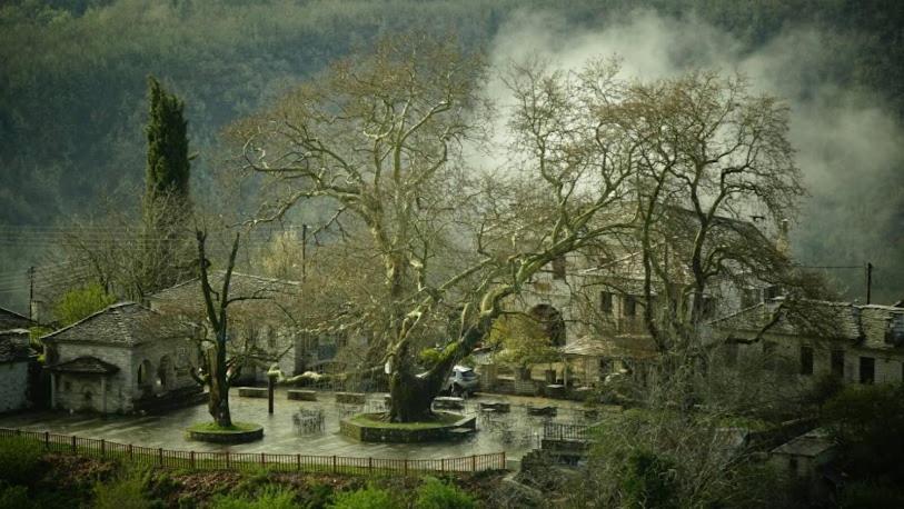 Willa Βίτσα Πετρόκτιστο Αρχοντικό "Ιόλη" Με Θέα Ζαγόρι Zewnętrze zdjęcie